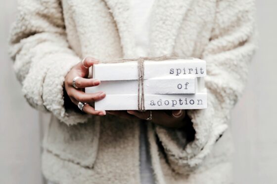 Top Adoption Tips You’ll Wish You Knew Sooner!