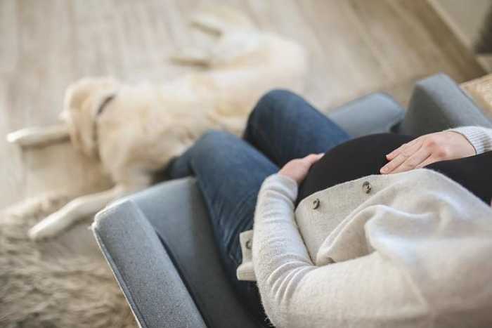 Pregnancy for Newbies: Your Simple Guide to Baby Bliss