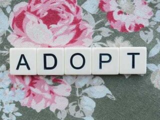 Top Tips and Advice for Navigating Adoption Like a Pro