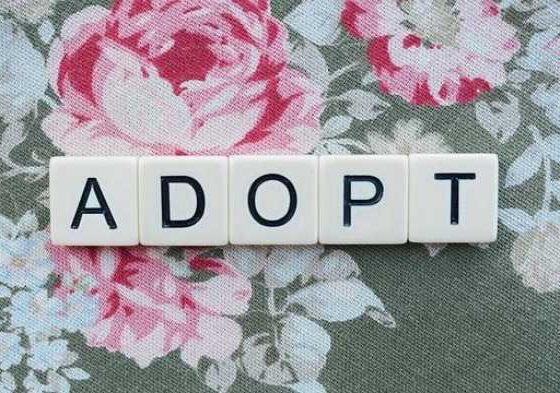 Top Tips and Advice for Navigating Adoption Like a Pro