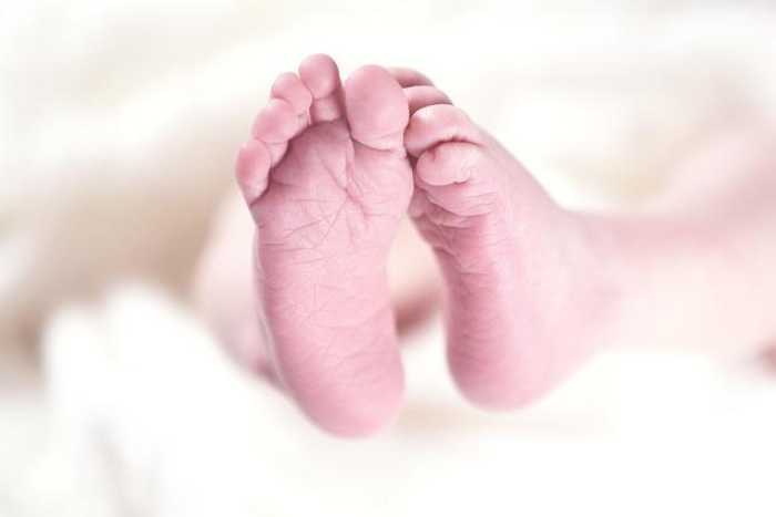 Top Baby Amazon Accessories You’ll Actually Love in 2024!