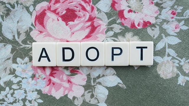 Getting​ to Know the Adoption process Without the Jargon