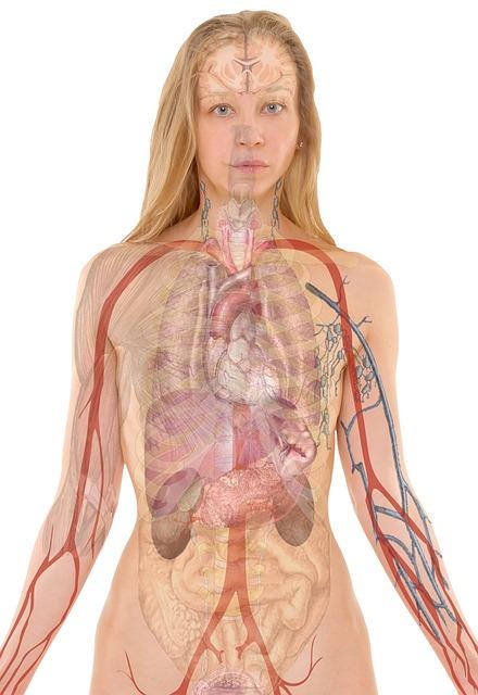 Understanding your Body’s⁣ Amazing Changes