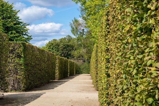 Navigating the Paperwork Maze Without Losing Your Mind